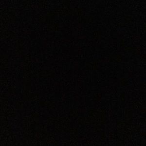 Meet your Posher, Louis